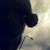 :iconarchandroid: