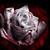 :iconarchangel11293:
