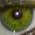:iconarchangelunaire: