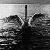:iconarchant-alarch: