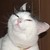 :iconarcher-reaper:
