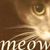 :iconArchetypeAngel: