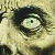 :iconarchvile125: