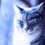 :iconarcone-lycurgus: