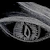 :iconarcsinthesky: