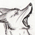 :iconarcticafox:
