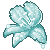 :iconArcticBlossom: