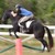 :iconarctichorse90: