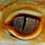 :iconarcticnirvana: