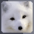 :iconarcticph0x: