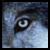 ArcticWolf99 :iconarcticwolf99: