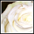 :iconArdis84: