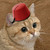 :iconarea-man: