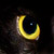 :iconarea29ed6: