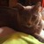 :iconareaka1412: