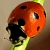 :iconareczny: