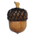 :iconarekusu-acorn: