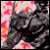 :iconaresy010: