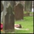:iconaretheydeadyet: