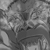 :iconarg0s5: