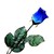 :iconargard02: