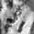 :iconargent-lilitus: