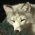 :iconargentum-vulpes: