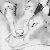 :iconargentumdraconis: