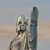 :iconargonath-12: