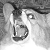 :iconArgylshira: