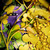 :iconarh13choos1:
