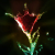 :iconarhapsody23: