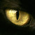 :iconaria-selene: