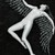:iconaria1970: