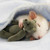 :iconariaddict: