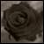 :iconariadnablack: