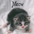 :iconariakehinotama: