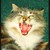 :iconarial44: