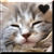 :iconariane-13: