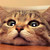 AriannaFisco :iconariannafisco: