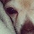 :iconariariariari:
