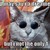 :iconarider96: