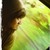 :iconarief-duotone: