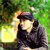 :iconarieffirmansyah: