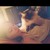 :iconariel-marie: