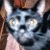 :iconarielart: