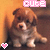 :iconariellasrainbow1:
