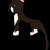 :iconarieltheninetails: