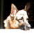 :iconariendilgraphicdesig: