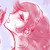 :iconariesreverie: